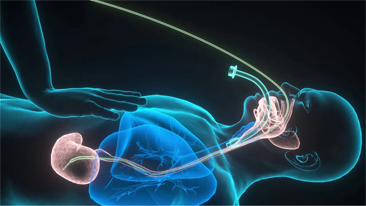 LETOU国际米兰·(中国区)官方网站