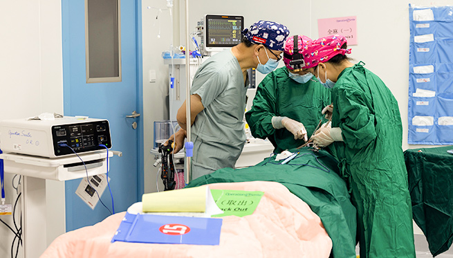 LETOU国际米兰·(中国区)官方网站