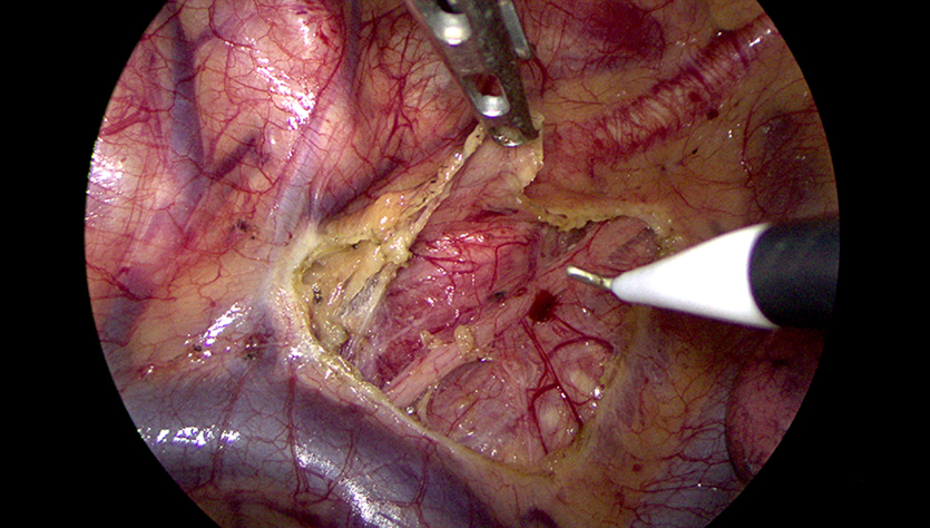 LETOU国际米兰·(中国区)官方网站