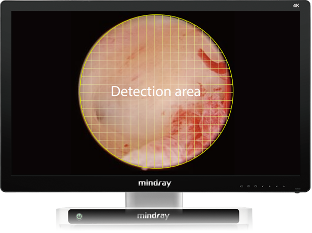 LETOU国际米兰·(中国区)官方网站