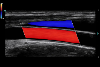 LETOU国际米兰·(中国区)官方网站