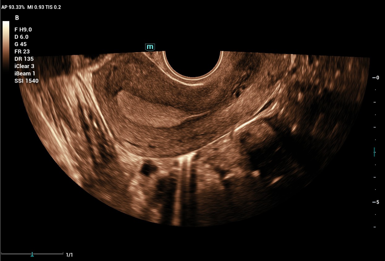 LETOU国际米兰·(中国区)官方网站