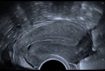 LETOU国际米兰·(中国区)官方网站