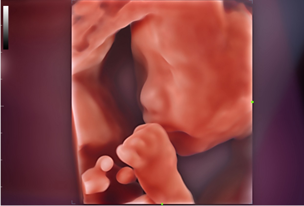 LETOU国际米兰·(中国区)官方网站