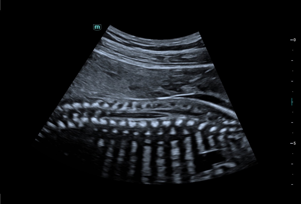 LETOU国际米兰·(中国区)官方网站