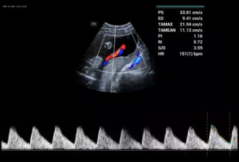 LETOU国际米兰·(中国区)官方网站