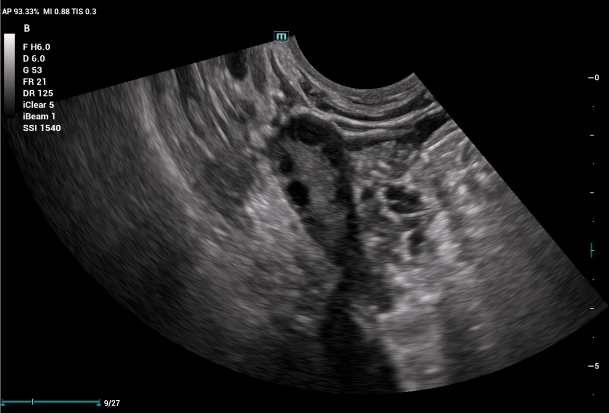 LETOU国际米兰·(中国区)官方网站