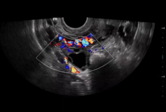 LETOU国际米兰·(中国区)官方网站