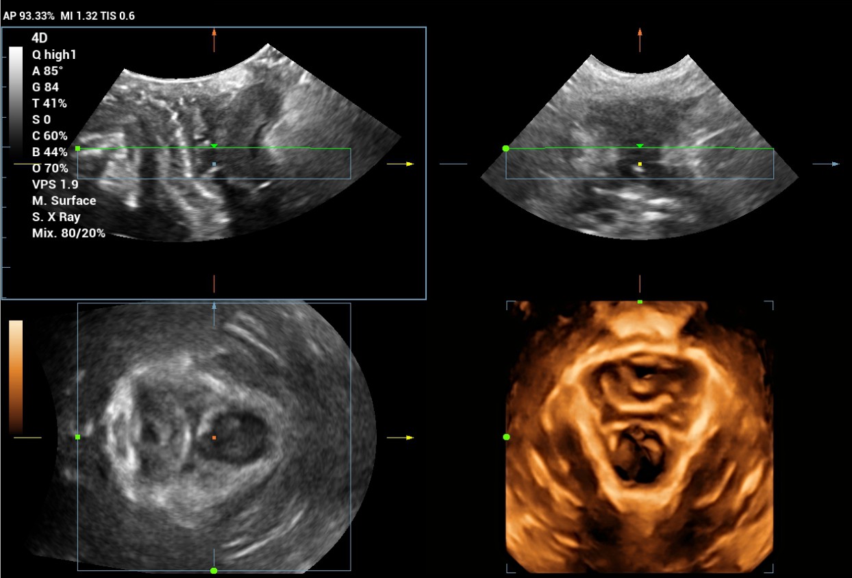 LETOU国际米兰·(中国区)官方网站