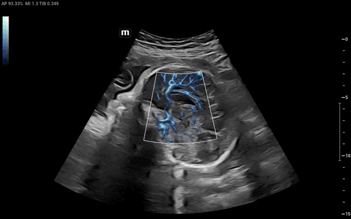 LETOU国际米兰·(中国区)官方网站
