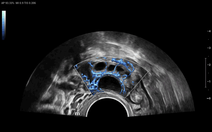 LETOU国际米兰·(中国区)官方网站