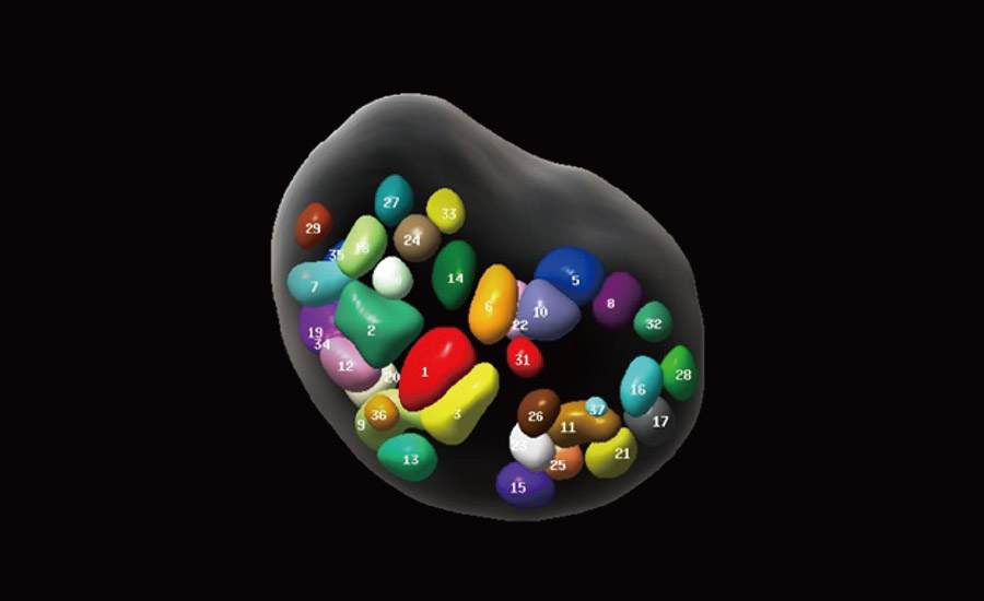 LETOU国际米兰·(中国区)官方网站