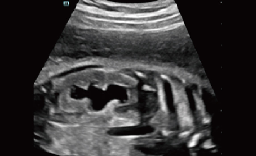 LETOU国际米兰·(中国区)官方网站