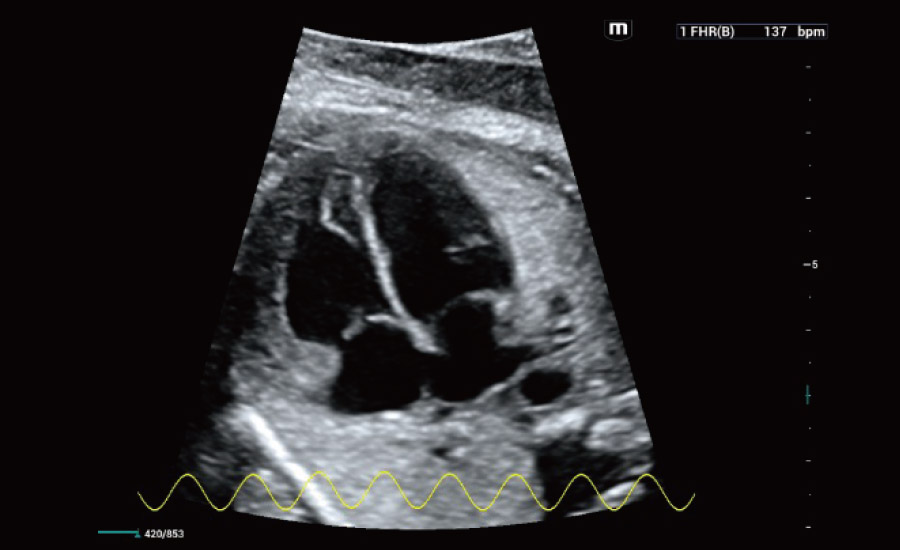 LETOU国际米兰·(中国区)官方网站
