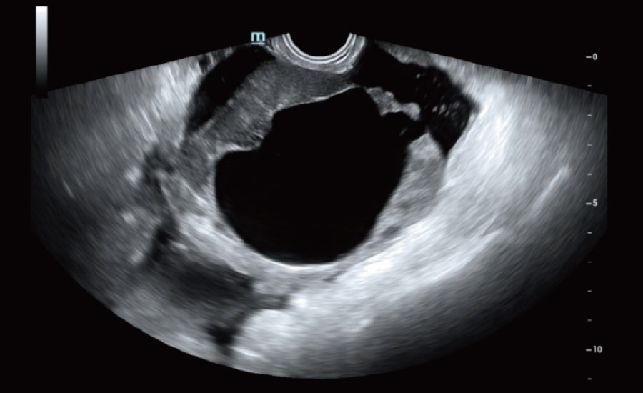 LETOU国际米兰·(中国区)官方网站