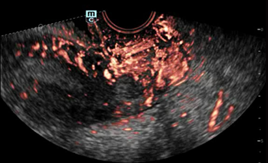 LETOU国际米兰·(中国区)官方网站