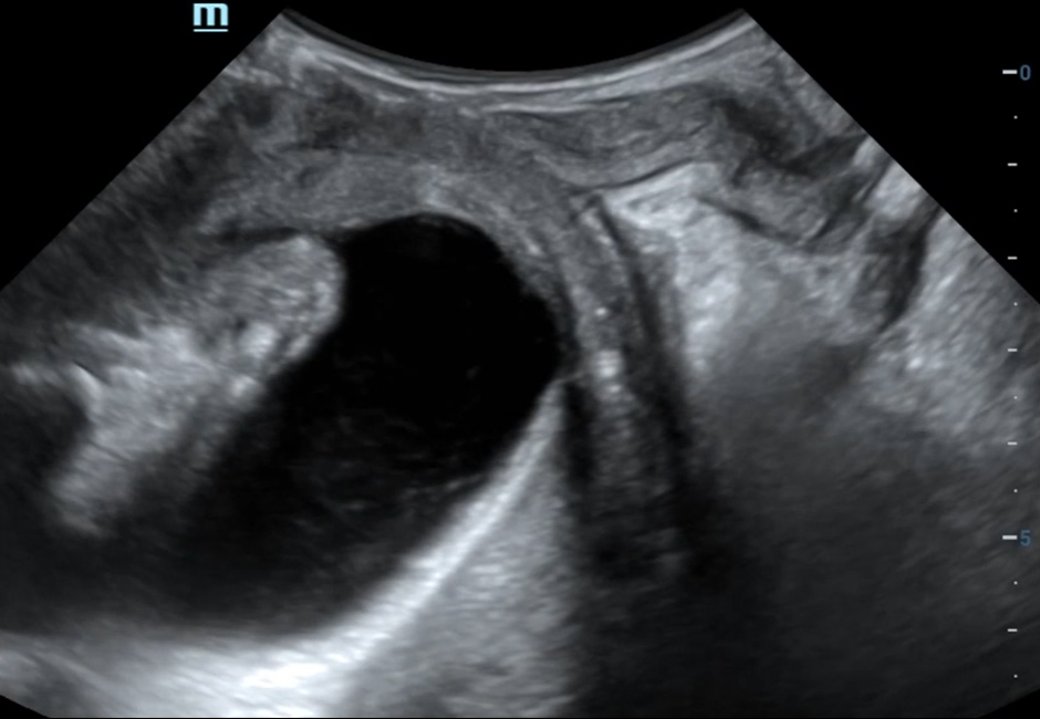 LETOU国际米兰·(中国区)官方网站