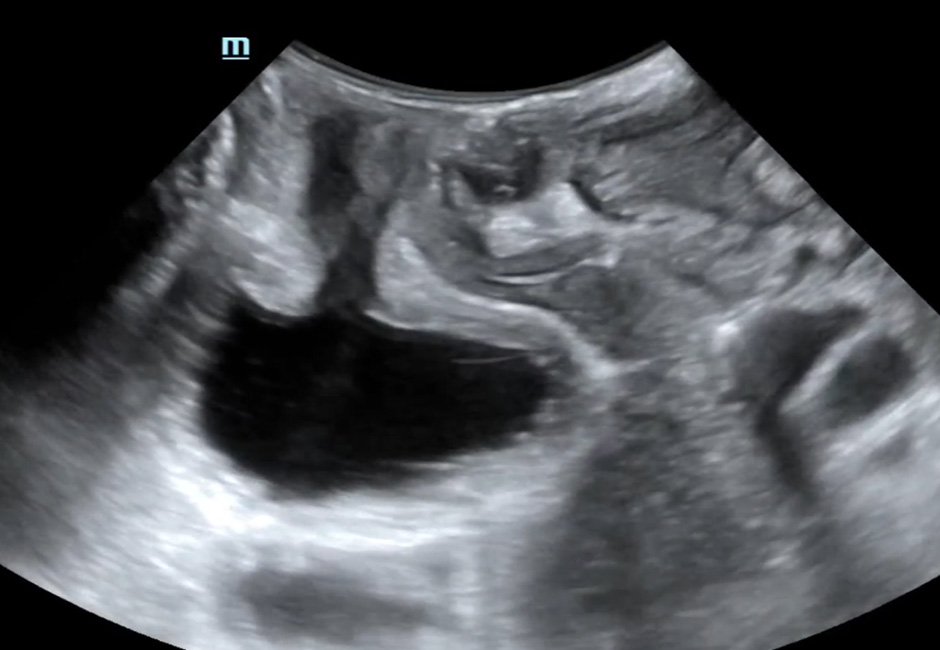 LETOU国际米兰·(中国区)官方网站