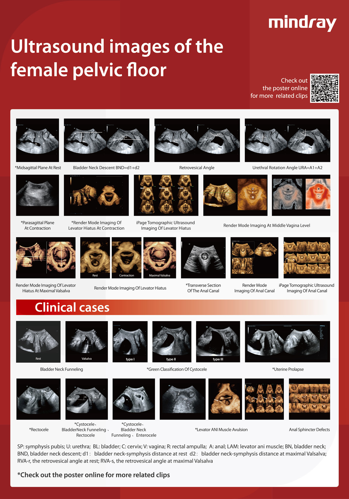 LETOU国际米兰·(中国区)官方网站