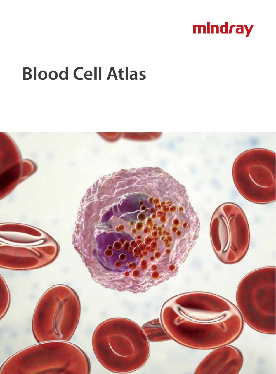 LETOU国际米兰·(中国区)官方网站