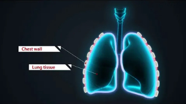 LETOU国际米兰·(中国区)官方网站