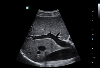 LETOU国际米兰·(中国区)官方网站