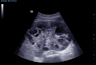 LETOU国际米兰·(中国区)官方网站