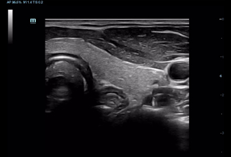 LETOU国际米兰·(中国区)官方网站