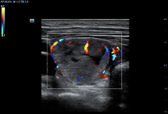 LETOU国际米兰·(中国区)官方网站