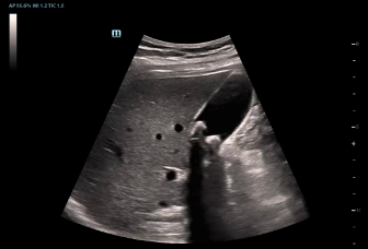 LETOU国际米兰·(中国区)官方网站