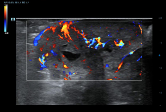 LETOU国际米兰·(中国区)官方网站