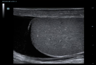 LETOU国际米兰·(中国区)官方网站