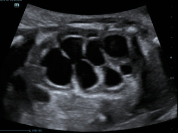 dc-80-exp-ru-fig7-13