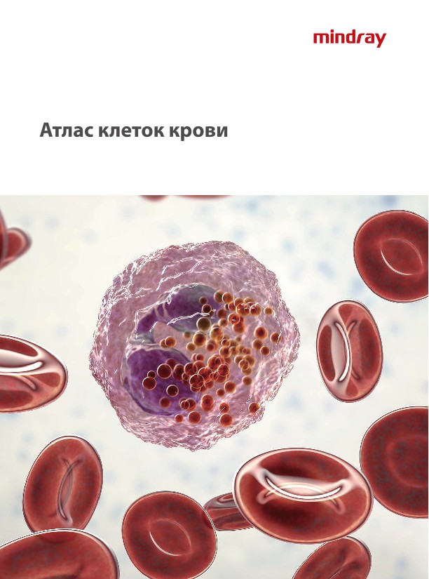 LETOU国际米兰·(中国区)官方网站