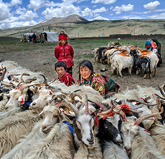 LETOU国际米兰·(中国区)官方网站