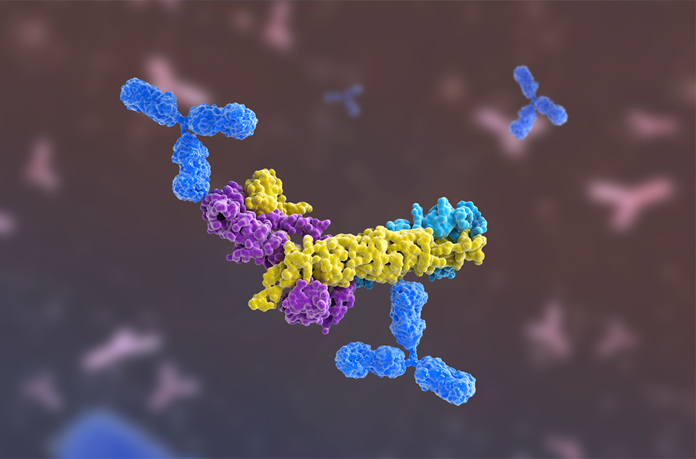 LETOU国际米兰·(中国区)官方网站