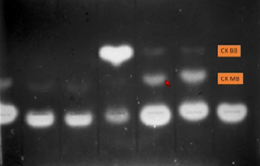 LETOU国际米兰·(中国区)官方网站