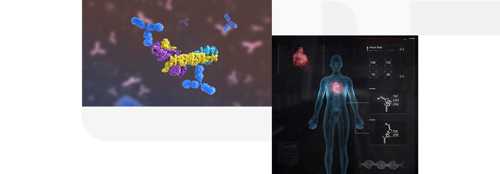 LETOU国际米兰·(中国区)官方网站