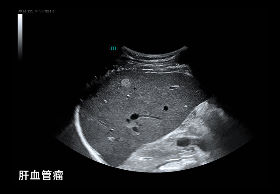 LETOU国际米兰·(中国区)官方网站