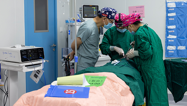 LETOU国际米兰·(中国区)官方网站