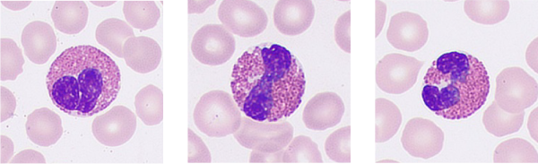 LETOU国际米兰·(中国区)官方网站