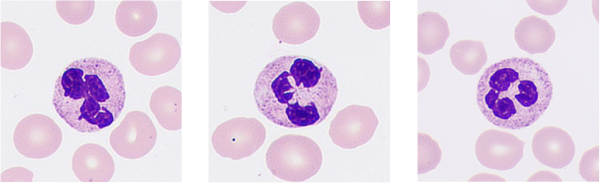 LETOU国际米兰·(中国区)官方网站