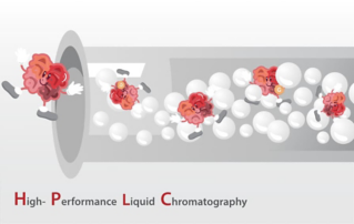 HPLC: The Gold Standard in HbA1c Testing - Why This Technology Powers Global Diabetes Management