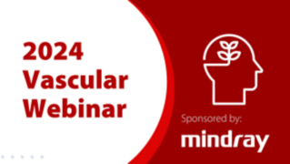 2024 Vascular Webinar 
