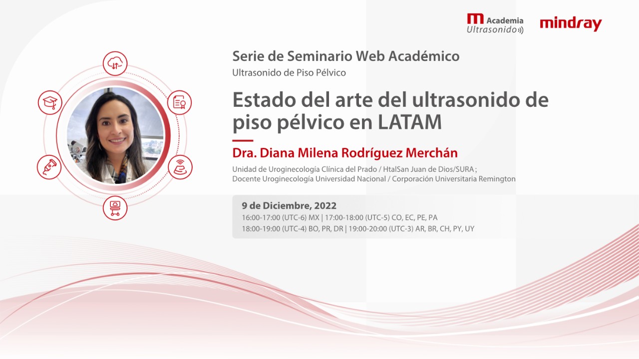 Estado del arte del ultrasonido de piso pélvico en LATAM