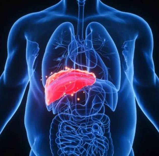 LETOU国际米兰·(中国区)官方网站